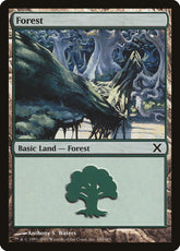 Floresta / Forest - Magic: The Gathering - MoxLand